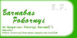 barnabas pokornyi business card